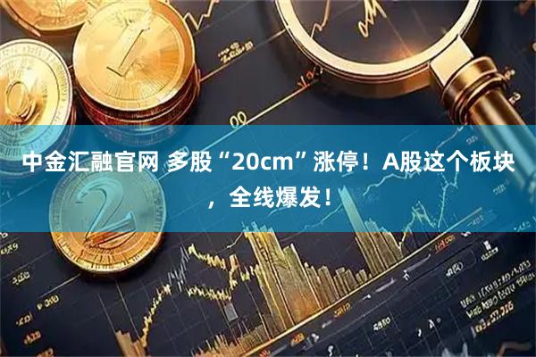 中金汇融官网 多股“20cm”涨停！A股这个板块，全线爆发！