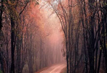 配资门户网好不好:新手炒股怎么选股票-国常会：听取关于贯彻落实全国科技大会精神 加快建设科技强国情况的汇报